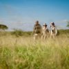 Safari a pie en la Sabana