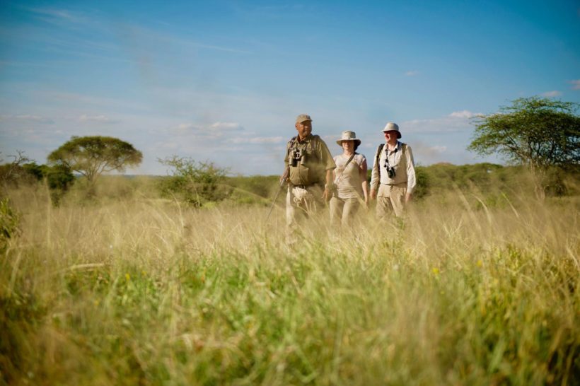 Safari a pie en la Sabana