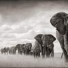 safaris en africa, Safari a pie en el Serengeti