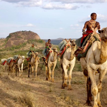 Safari a Pie y Camello safaris en africa