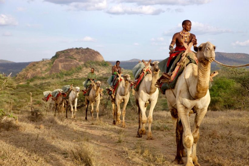 Safari a Pie y Camello safaris en africa