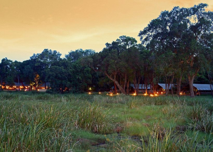 safaris en africa, Safari escapada a Masai Mara