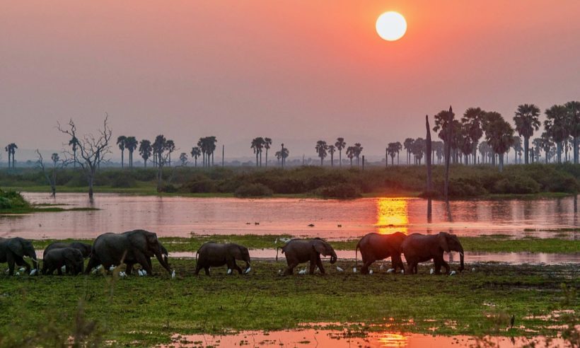 Parques nacionales del sur de Tanzania