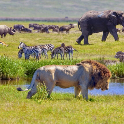SAFARI KENIA Y TANZANIA INOLVIDABLE