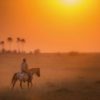safaris en africa, Botswana a caballo