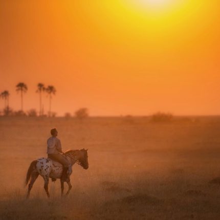 safaris en africa, Botswana a caballo