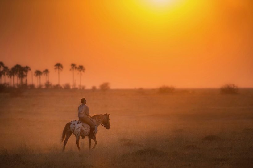 safaris en africa, Botswana a caballo