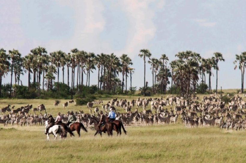 BOTSWANA A CABALLO OKAVANGO & KALAHARI (2)