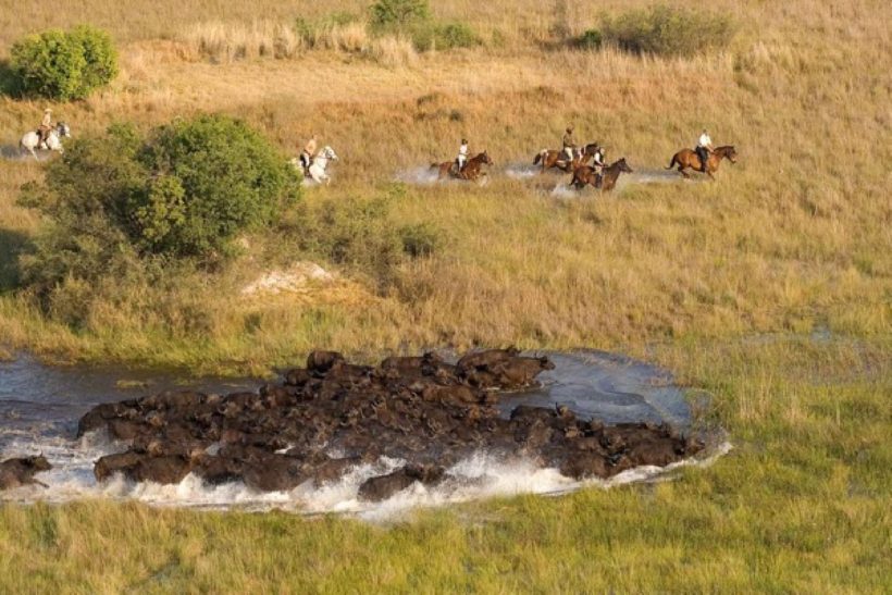 BOTSWANA A CABALLO OKAVANGO & KALAHARI (3)