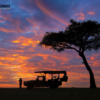 MASAI MARA SAFARI FOTOGRÁFICO CON MARIO MORENO (4)