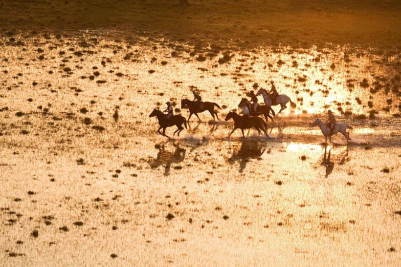OKAVANGO A CABALLO EN FLY CAMPS (2)