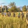 OKAVANGO A CABALLO EN FLY CAMPS (4)