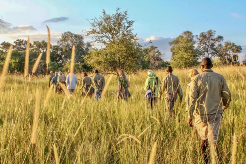 OKAVANGO A CABALLO EN FLY CAMPS (4)