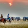 rutas y safaris a caballo en el kalahari