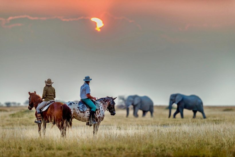 rutas y safaris a caballo en el kalahari