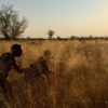 RUTAS A CABALLO EN EL KALAHARI (3)