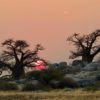 RUTAS A CABALLO EN EL KALAHARI (5)