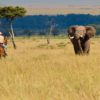 safaris en africa, safaris a caballo, Safari a Caballo en Masai Mara