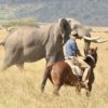 SAFARI A CABALLO EN MASAI MARA (2)