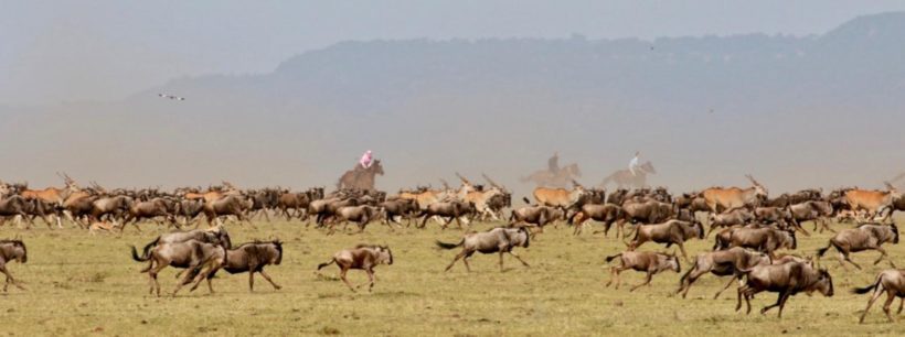 SAFARI A CABALLO EN MASAI MARA (4)