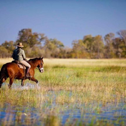 safari a caballo en okavango, safaris a caballo