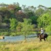 SAFARI A CABALLO OKAVANGO & THAMALAKANE RIVER ADVENTURE (3)