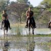 SAFARI A CABALLO OKAVANGO & THAMALAKANE RIVER ADVENTURE (4)
