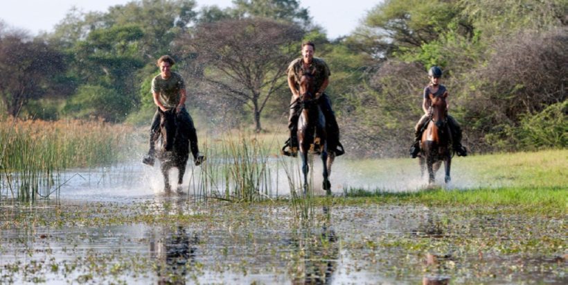 SAFARI A CABALLO OKAVANGO & THAMALAKANE RIVER ADVENTURE (4)