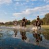 SAFARI A CABALLO OKAVANGO & THAMALAKANE RIVER ADVENTURE (5)