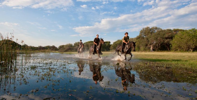 SAFARI A CABALLO OKAVANGO & THAMALAKANE RIVER ADVENTURE (5)