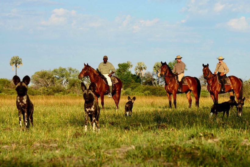 Safari-a-Caballo-Okavango