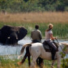Safari a Caballo Okavango en Fly