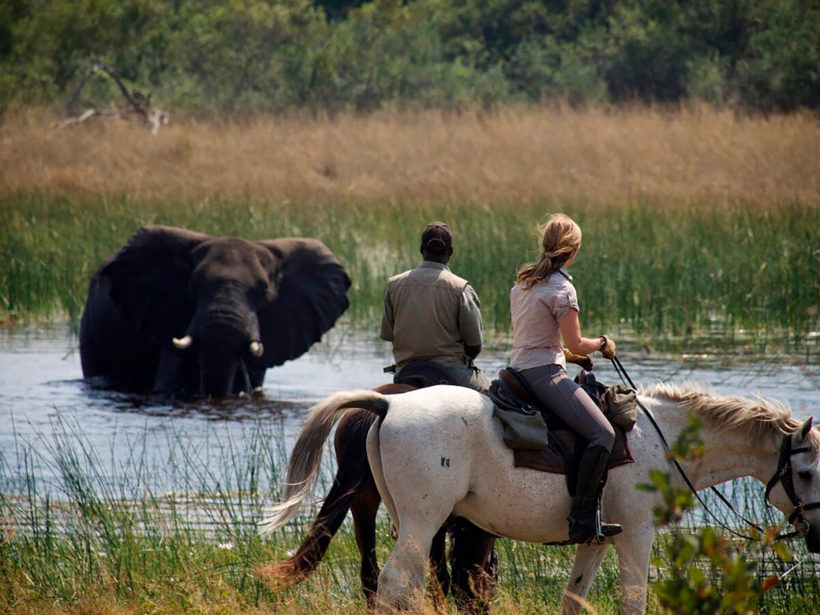 Safari a Caballo Okavango en Fly