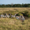 Safari-a-pie-Caminando-con-los-Maasai