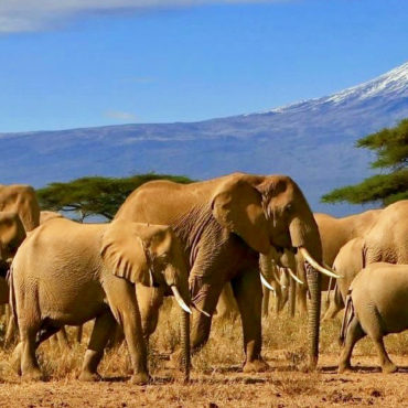 Tanzania