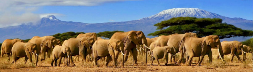Tanzania (1)
