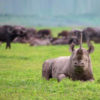 africae-travel