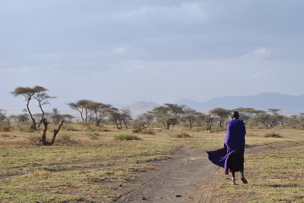 safaris en africa Safaris a africa africae travel