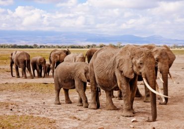 Kenia y los rincones que no puedes dejar de visitar