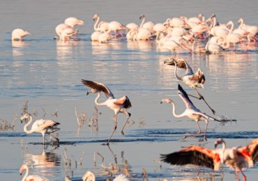 Kenia y los rincones que no puedes dejar de visitar