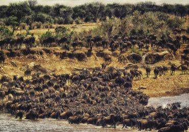 Luna de Miel en África: los destinos más populares y originales