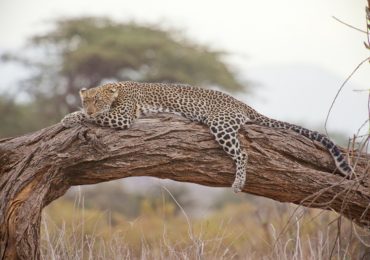 Luna de Miel en África: los destinos más populares y originales