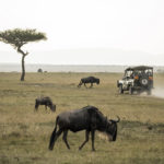 safaris en africa Safari 4x4 en África