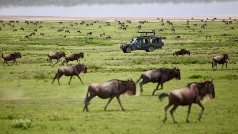 safaris salidas 2019, Safari tanzania