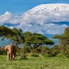 Safari en Kenia Semana Santa