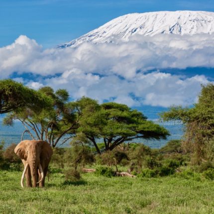 safaris en africa, safaris a caballo, safari kenia, Safari Kenia y Tanzania inolvidable