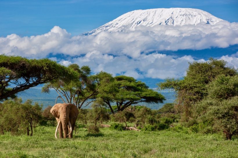 safaris en africa, safaris a caballo, safari kenia, Safari Kenia y Tanzania inolvidable