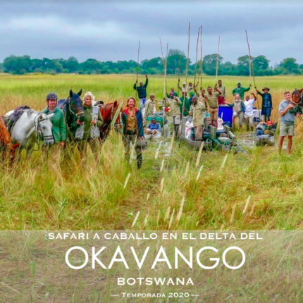 safaris a caballo africae travel, Safari a caballo en okavango. Safaris Salidas 2019 y 2020