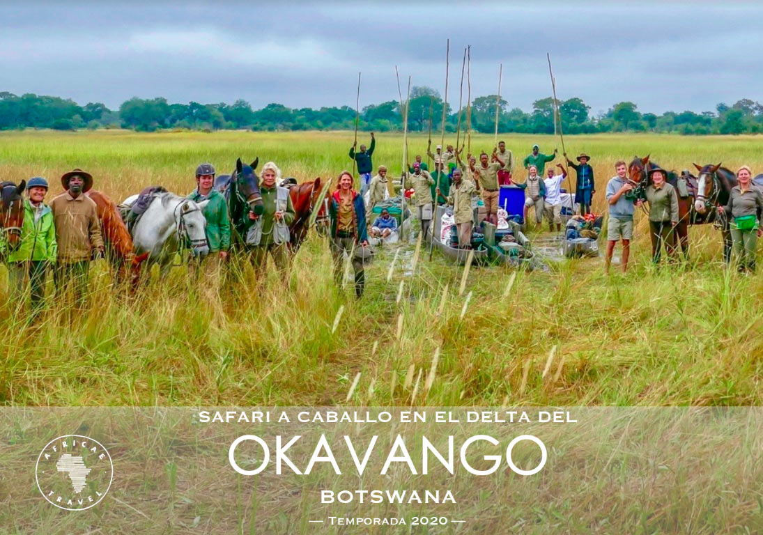 safaris a caballo africae travel, Safari a caballo en okavango. Safaris Salidas 2019 y 2020