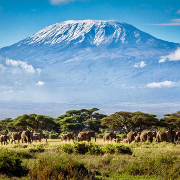 Kilimanjaro